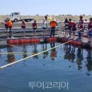 울진 나곡어촌체험마을 이미지