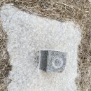 군남-5 이미지