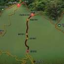 구룡령 옛길 이미지