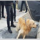 보운초교 이미지