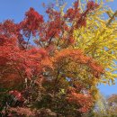 겨울의 문을여는 절기 입동(立冬) 이미지