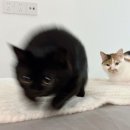 삼일카인테리어 | 아이돌 데뷔기인줄 알았는데..[혜화 스테이지]