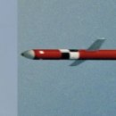 한국군 극비 미사일 현무-2, 현무-3 이미지