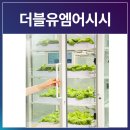 더블유엠교육