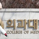 11월28일 이병철의 뉴스클리핑 이미지