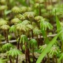 만남펜션 이미지