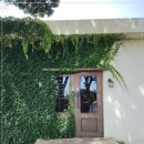 난산리-7 이미지