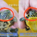 남강수족관 네이버블로그