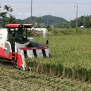 고흥2농장 이미지