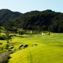 여주-0301 이미지