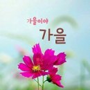 오거리약국 이미지