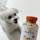 딩독 김밥 노즈워크 강아지 장난감 조공 미니트릿 연어 간식 추천