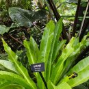 둥지광택 이미지