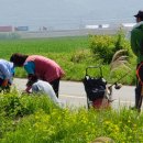덕천3리 경주신문