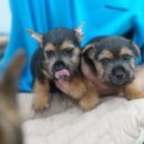 오픈주 하남스타필드점 이미지