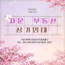 중앙동177 이미지