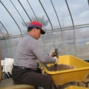 국화호수 이미지