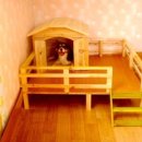 우리애견 이미지