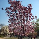 홍범한의원 이미지