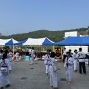 경희대정도태권도장 이미지