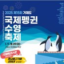 거제도국제펭귄수영축제 | 덕포해수욕장에서 열리는 제15회 거제도국제펭귄수영축제 12월30일까지 사전접수기간 입니다.