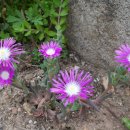 오월호텔 이미지