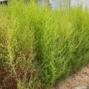 부리면사무소 이미지