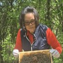 [축산신문] ＜인터뷰＞ 한국양봉협회 원주시지부, 유예자 지부장 “자연과 함께하는 양봉… 이미지