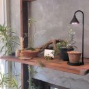 주식회사 루아 이미지