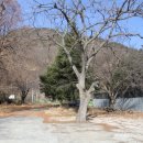 삼랑진역장 이미지