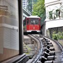 몽환적인 홍콩의 풍경을 감상한 빅토리아 피크(Victoria Peak). 이미지