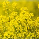 세탁느낌! 이미지