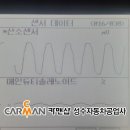 수리브라운 이미지