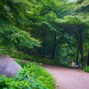 편백숲,쉼 이미지