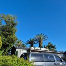 제주특별자치도지체장애인협회 서귀포시지회 | [제주여행] 서귀포칠십리시공원 산책하기 좋고 천지연, 한라산 한눈에 볼 수 있는 곳