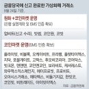 그냥 심심해서요. (11770) 코인거래소 29곳 남았지만 이미지