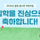 꿈나무어린이집 Daum카페