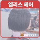 엘리스클리닉 | 창원 안민동 미용실 단발 테슬 컷 잘하는 엘리스헤어