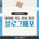 동일애드플러스 | 네이버 지도 리뷰 스마트플레이스 블로그 배포 가격