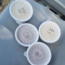 배트독 | 2025 KBO 정규 시즌 직관 모음zip⚾