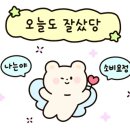 노송가구.씰리침대용인