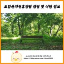 경주 토함산자연휴양림 숲속 캠핑장 가격 및 예약방법 캠핑시설 후기