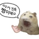 냠냠 - 안산시 단원구 | 냠냠