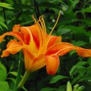 기쁨과슬픔 이미지