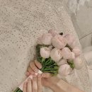 호텔메르시 네이버블로그