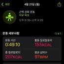 다담허브 | 필켓 알파CD 핑크 화이트 내돈내산 3주 후기
