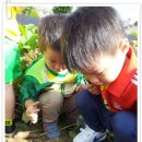 상일농장 이미지