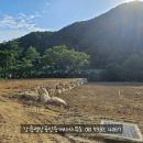 강릉성산 공인중개사사무소 이미지