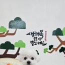 소소하개 이미지