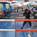 수원동양복싱 이미지